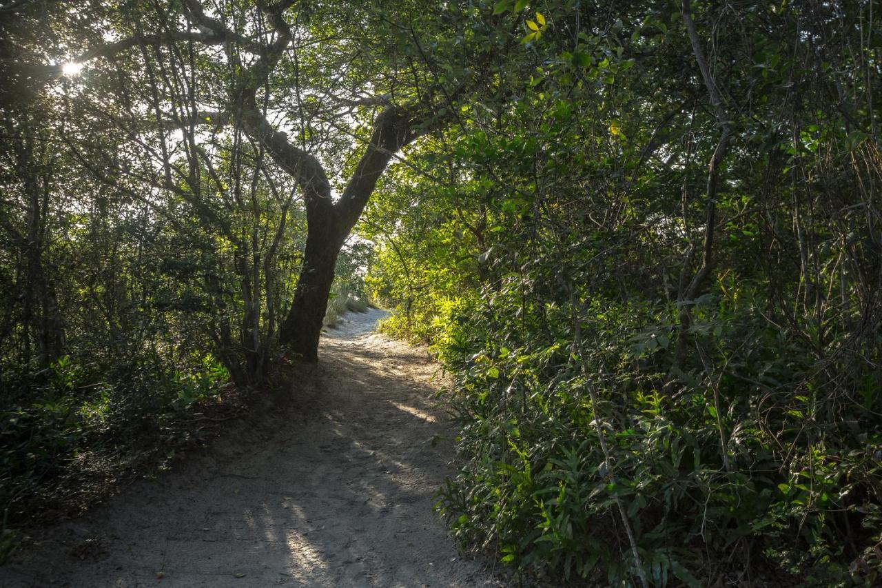 Kosi Forest Lodge Manguzi Εξωτερικό φωτογραφία