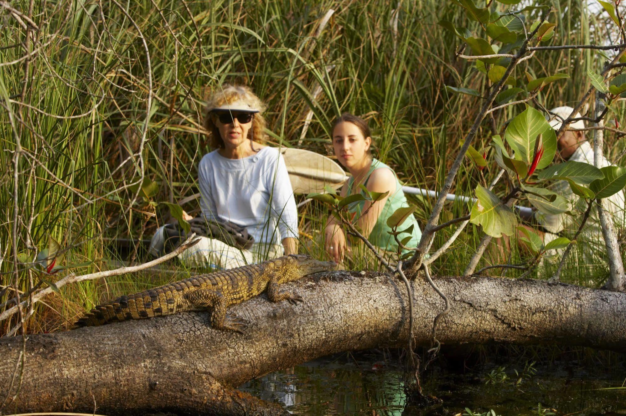 Kosi Forest Lodge Manguzi Εξωτερικό φωτογραφία