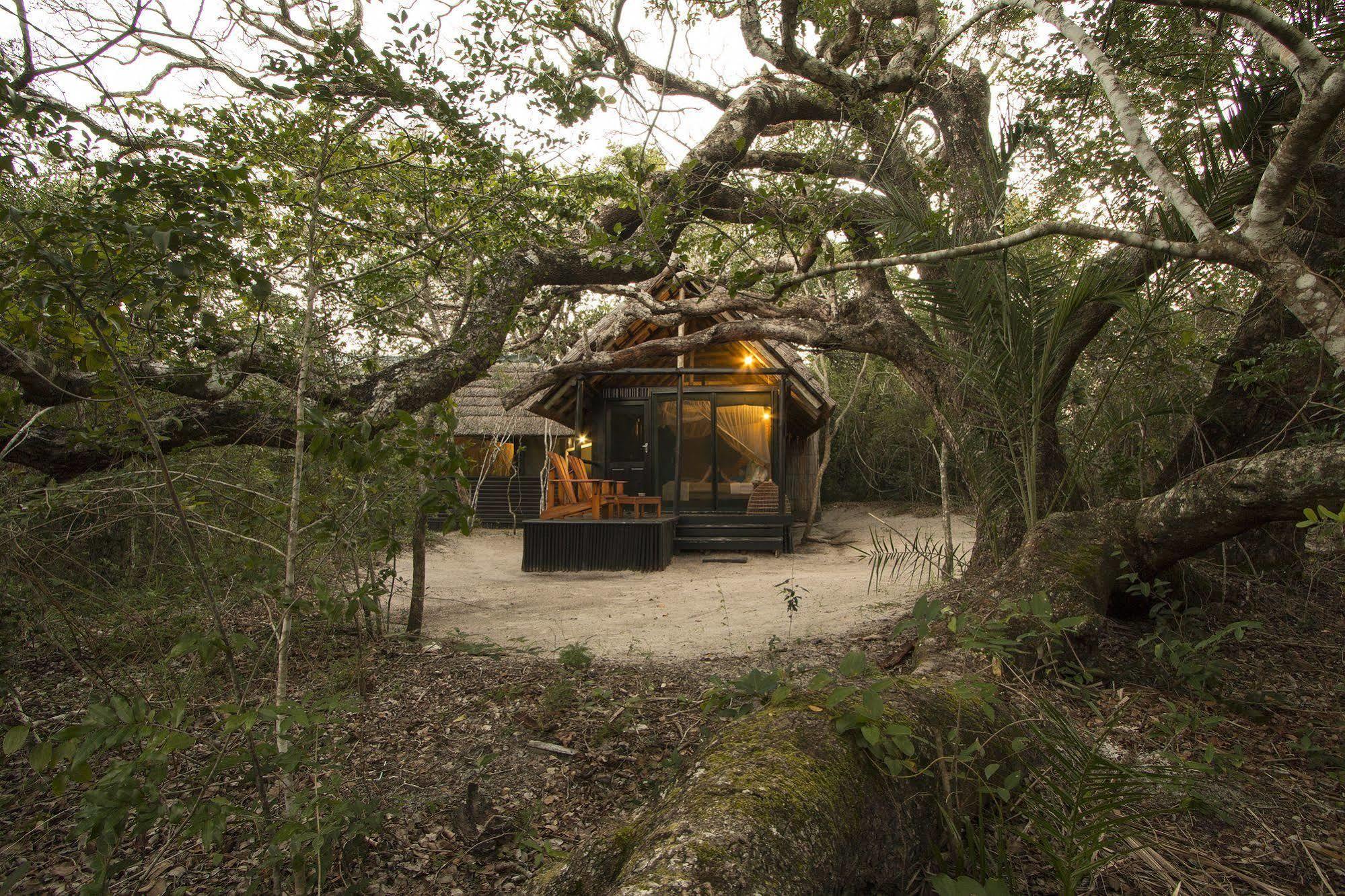 Kosi Forest Lodge Manguzi Εξωτερικό φωτογραφία
