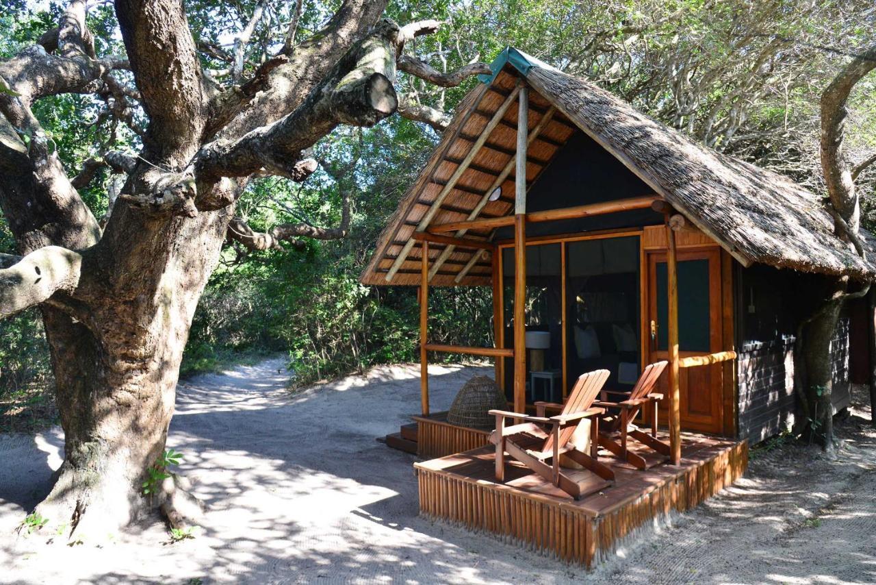 Kosi Forest Lodge Manguzi Εξωτερικό φωτογραφία